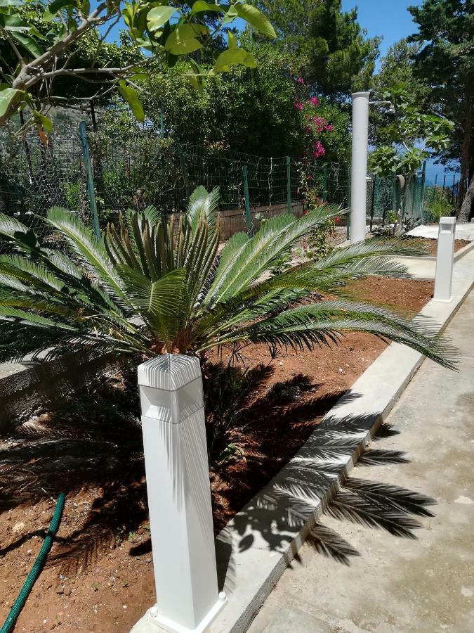 Palms Villa Scopello  Εξωτερικό φωτογραφία